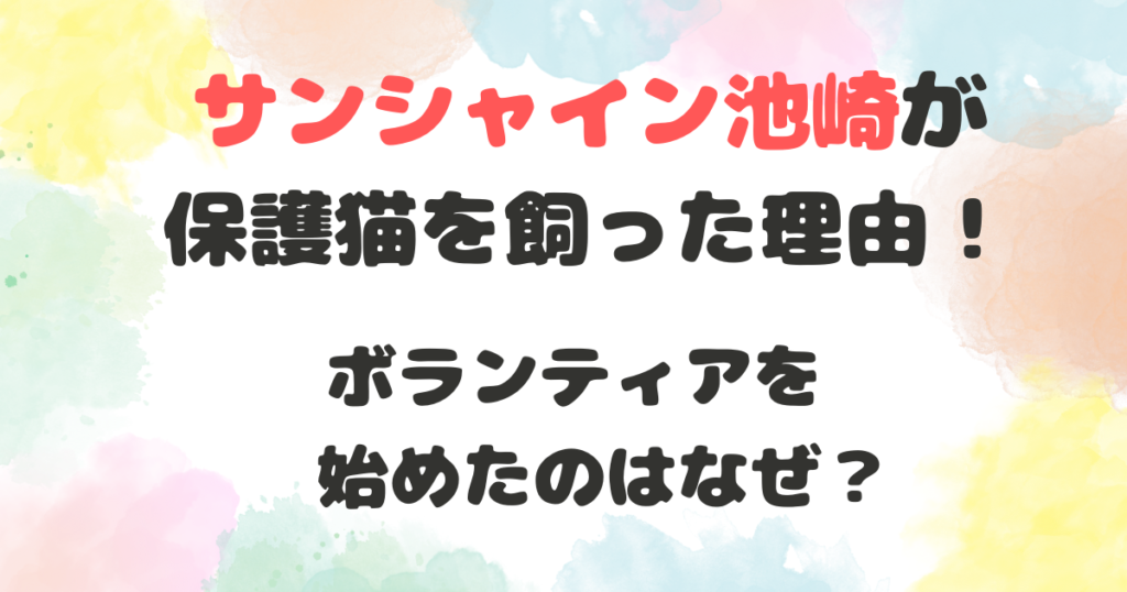 サンシャイン池崎が保護猫